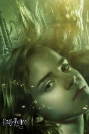 mini Harry Potter and the Goblet of Fire 17