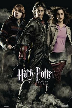 mini Harry Potter and the Goblet of Fire 5