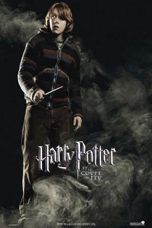 mini Harry Potter and the Goblet of Fire 4
