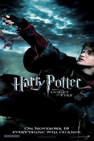 mini Harry Potter and the Goblet of Fire 14