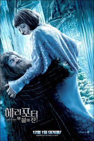 mini Harry Potter and the Goblet of Fire 30