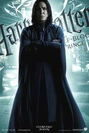 mini Harry Potter and the Half Blood Prince 8