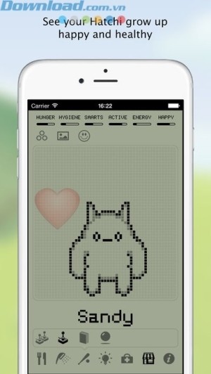 Xem Hatchi phát triển khỏe mạnh và hạnh phúc