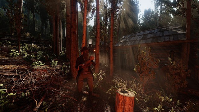 Sinh con và nuôi nấng chúng thành người trưởng thành