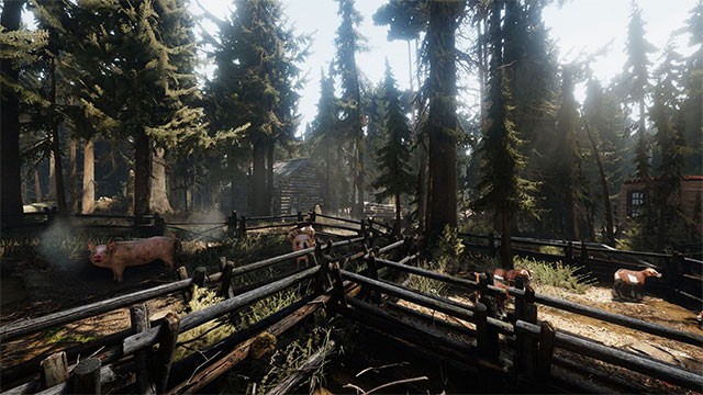 Chăn nuôi và trồng trọt để phát triển trang trại trù phú