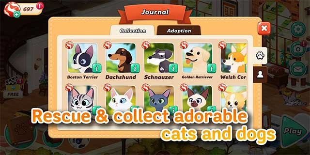 Giải cứu, thu thập và nuôi dưỡng những bé thú cưng cực đáng yêu