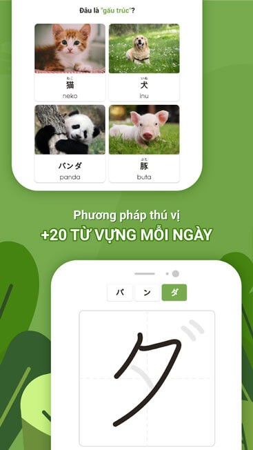 Học từ vựng mỗi ngày