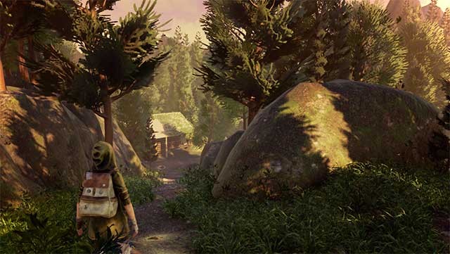 Di chuyển trong ba môi trường khác nhau: rừng, thị trấn và phòng thí nghiệm