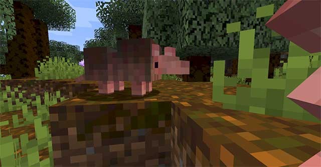 Bạn có thể thử đào đất để tìm kiếm các loại quặng mới