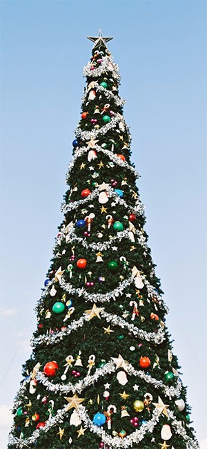 Ảnh nền điện thoại iPhone HD