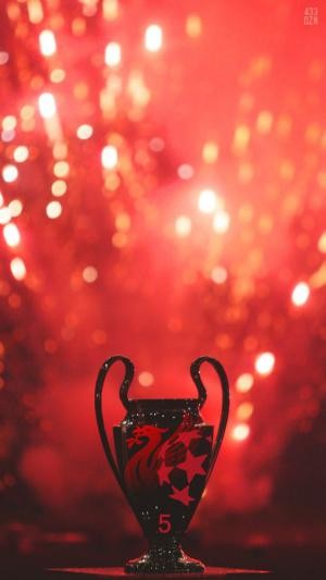 Hinh nen Liverpool cho di dong 45