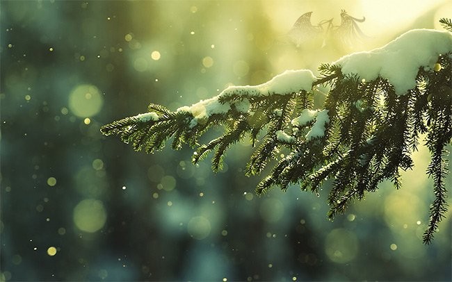 Hình nền mùa đông cho máy tính