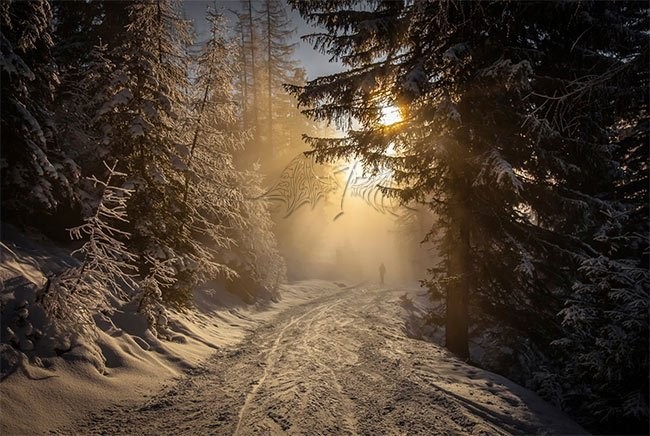 Ảnh nền máy tính phong cách mùa đông