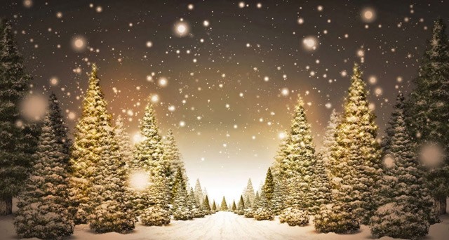 Hình nền tuyết rơi