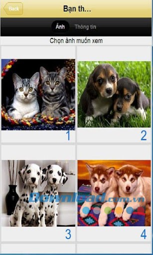 Hình nền thú cưng for Android