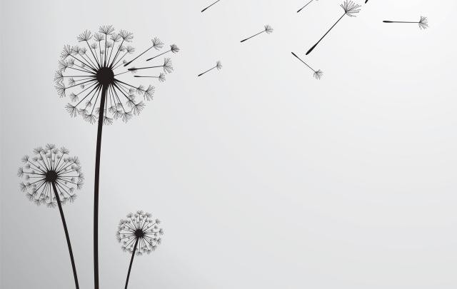 hinh nen trang 22*234119