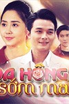 Hoa Hồng Cho Sớm Mai - Phim Tình Cảm Việt Nam THVL1