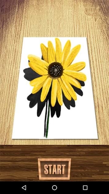 Hoa vẽ theo phong cách 3D