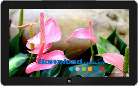 Hong Kong park theme