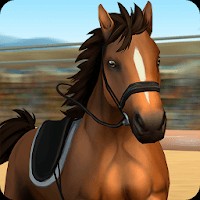 Horse World - Show Jumping cho Android: Game mô phỏng đua ngựa hấp dẫn