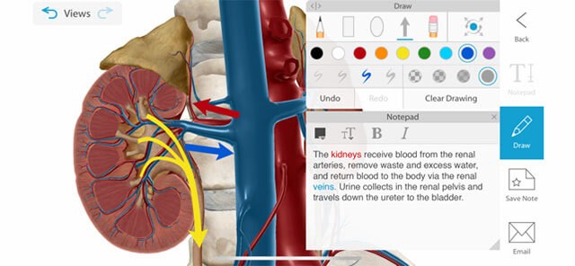 Human Anatomy Atlas là tài liệu để mọi người quan sát bên trong và hiểu rõ hơn về cơ thể người