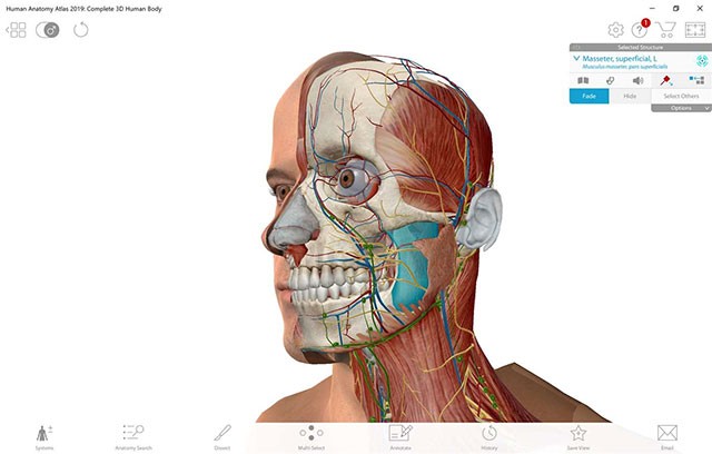 Atlas giải phẫu cơ thể người Human Anatomy Atlas 2019