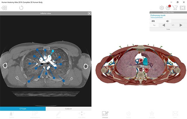 Hình ảnh chi tiết các bộ phận trên cơ thể người