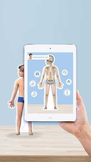 Khám phá chức năng của các cơ quan