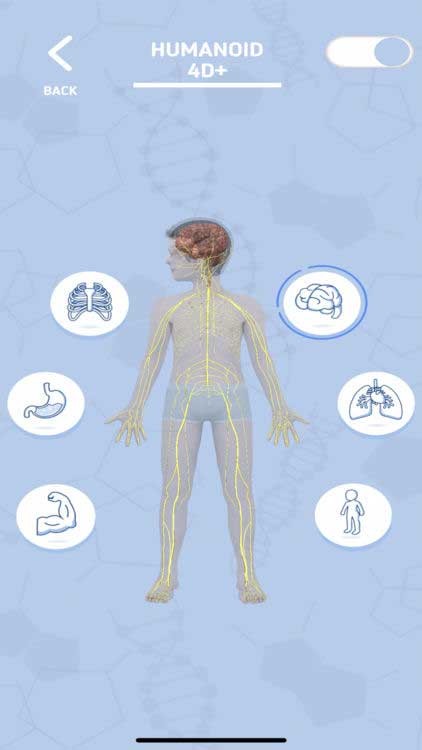 Tìm hiểu các hoạt động của các hệ cơ quan chính trong cơ thể con người