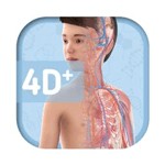 Humanoid 4D+ iOS: Khám phá cơ thể người 4D