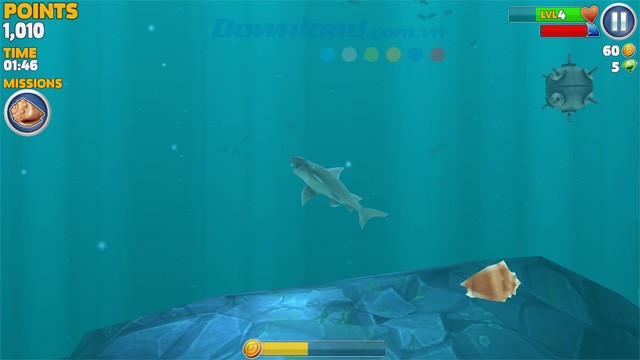 Thu thập vỏ ốc