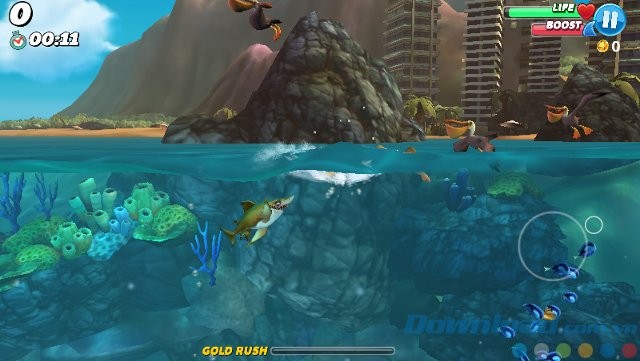 Chinh phục đại dương