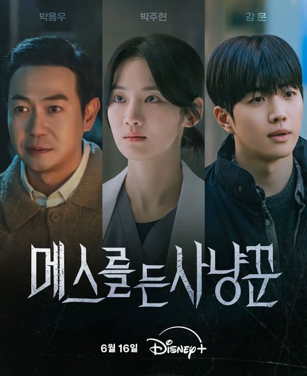 Poster phim Hunter with a scalpel