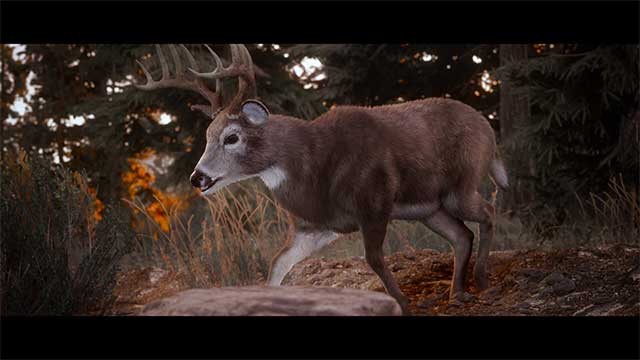 Người chơi có thể săn hơn 40 loài động vật trong Hunting Simulator 3