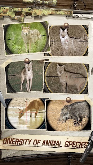 Hunting Sniper đưa bạn vào môi trường tự nhiên có đầy các loài động vật hoang dã