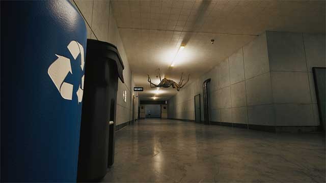 Bạn không thể đối đầu trực diện với những con nhện khủng lồ