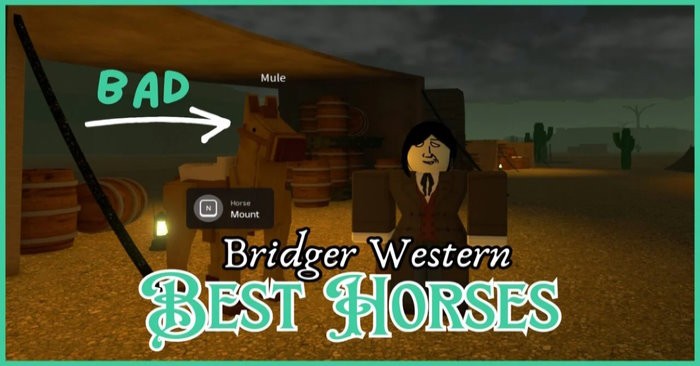 Hướng dẫn cưỡi ngựa tại Bridger Western