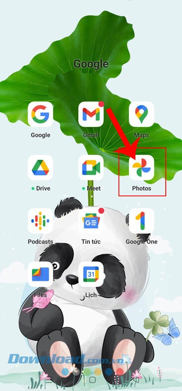 Tắt Đồng Bộ Ảnh Google Photos Tự Động: Hướng Dẫn Chi Tiết