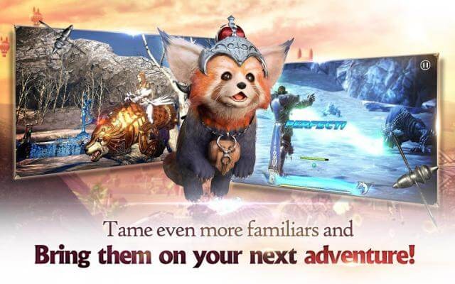 Thú cưng đồng hành với bạn trong cuộc phiêu lưu