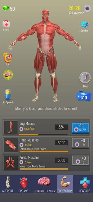 Tạo ra các cơ quan khác nhau