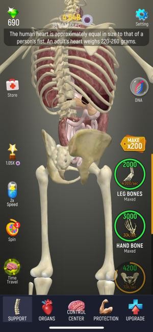 Chạm liên tục để hình thành một cơ thể người hoàn chỉnh