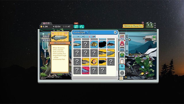 Bể cá của bạn sẽ nhanh chóng trở thành một tác phẩm nghệ thuật sống động