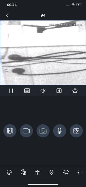 Xem video trực tiếp