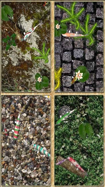 Pocket Pond 2 cho iOS có khả năng tùy biến cao