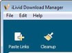 iLivid Download Manager 5.0.2.4813 - Tải xuống tốc độ cao