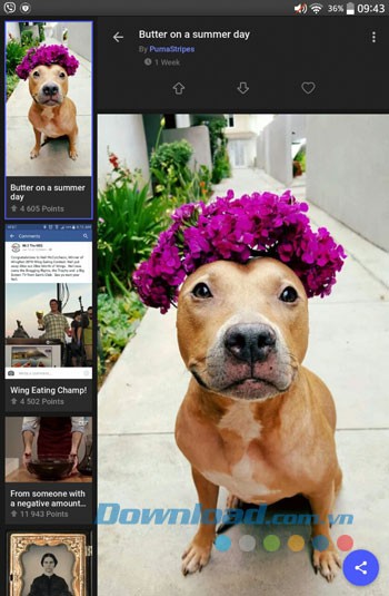 Giao diện sử dụng ứng dụng Imgur trên Android