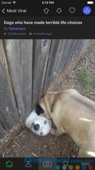 Chia sẻ ảnh nhanh