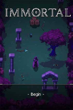 Immortal Rogue có hệ thống chiến đấu và hiệu ứng hành động tuyệt đẹp