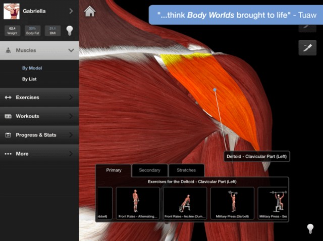 Quan sát sự chuyển động của các cơ chính, cơ phụ
