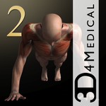 iMuscle 2 cho Mac 3.9.7: Bài tập phục hồi chức năng